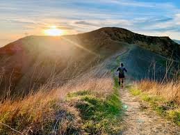Anaheim Hills Riding and Walking Trail